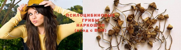 ALPHA-PVP Арсеньев