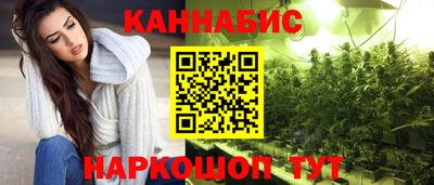 прущие крисы Малгобек