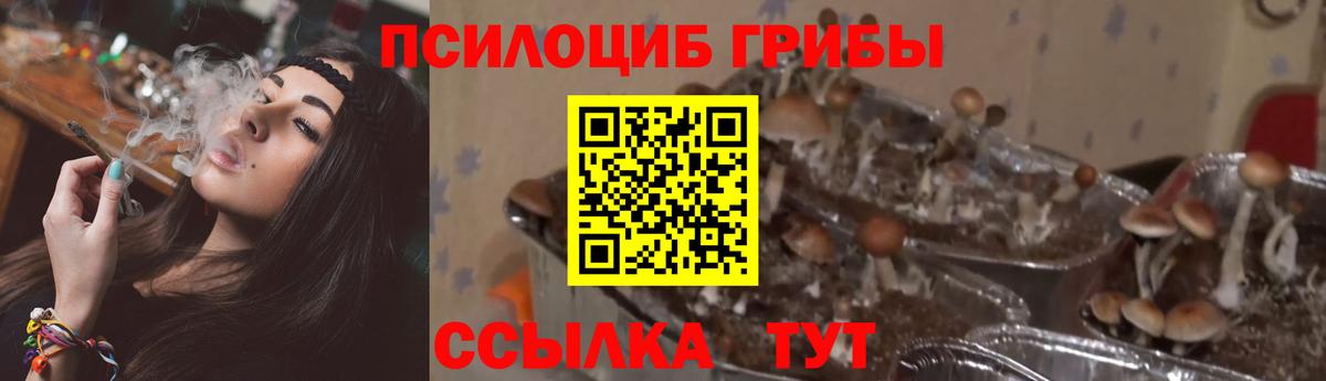 Галлюциногенные грибы Cubensis Домодедово