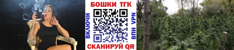 дарнет шоп  МЕГА онион  это состав  Домодедово  Шишки марихуана OG Kush 